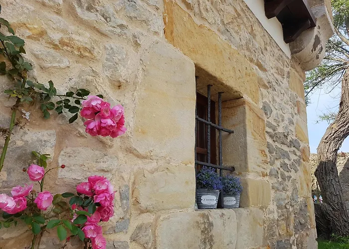 Condado De La Mota * Mogro